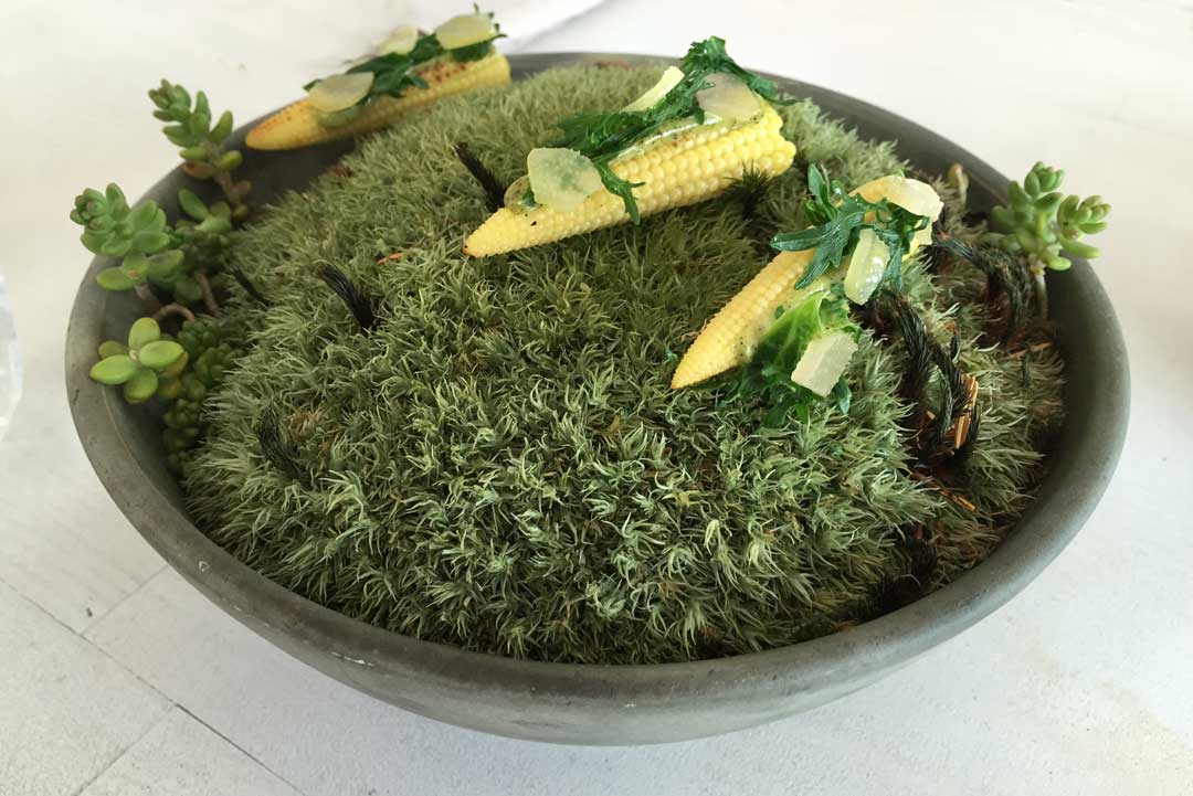 Kadeau Bornholm dish Grilled baby corn, kale fizz and blue cheese