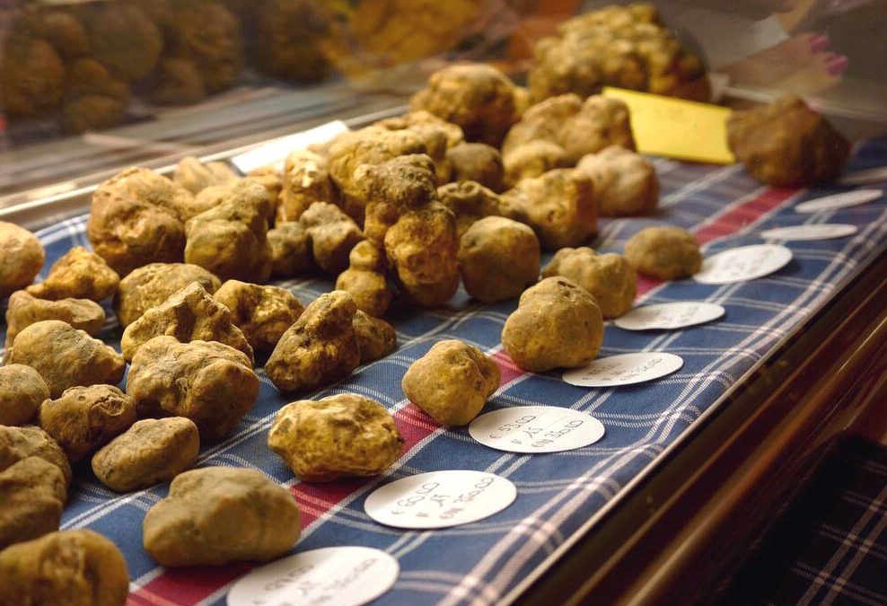 Visiting the truffle festival in Alba